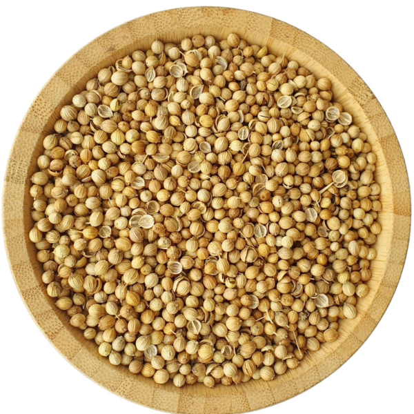 Coriander