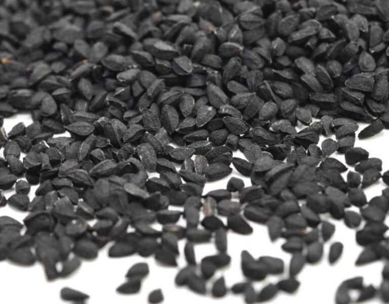 Nigella seeds