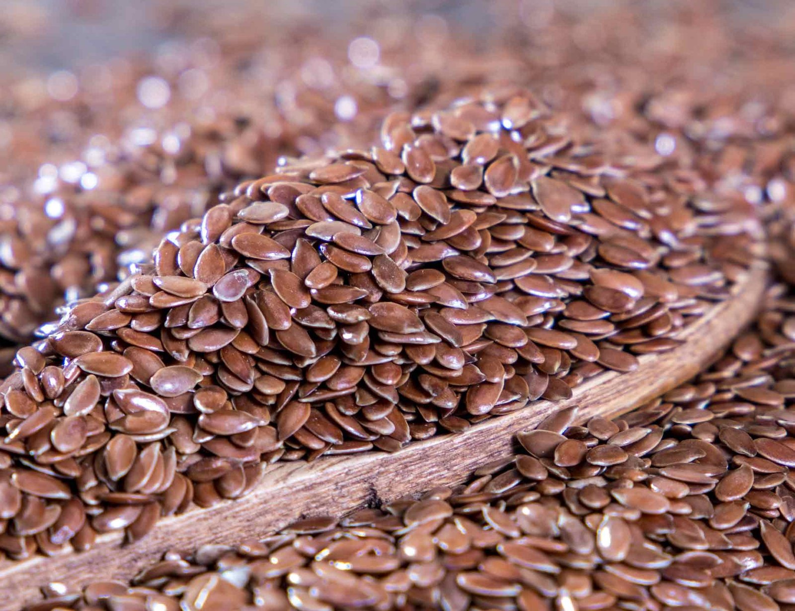 flax seed