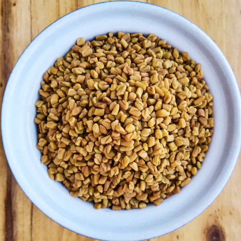Fenugreek