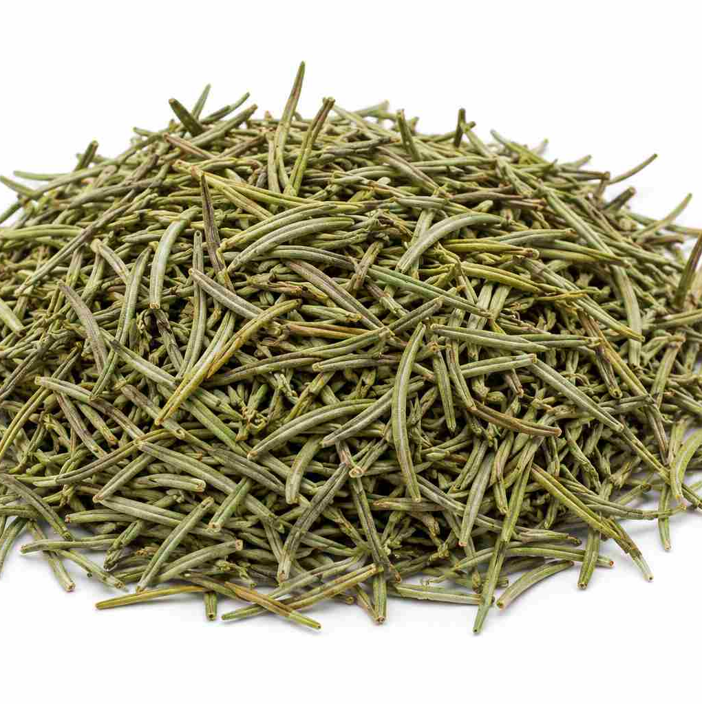 Rosemary