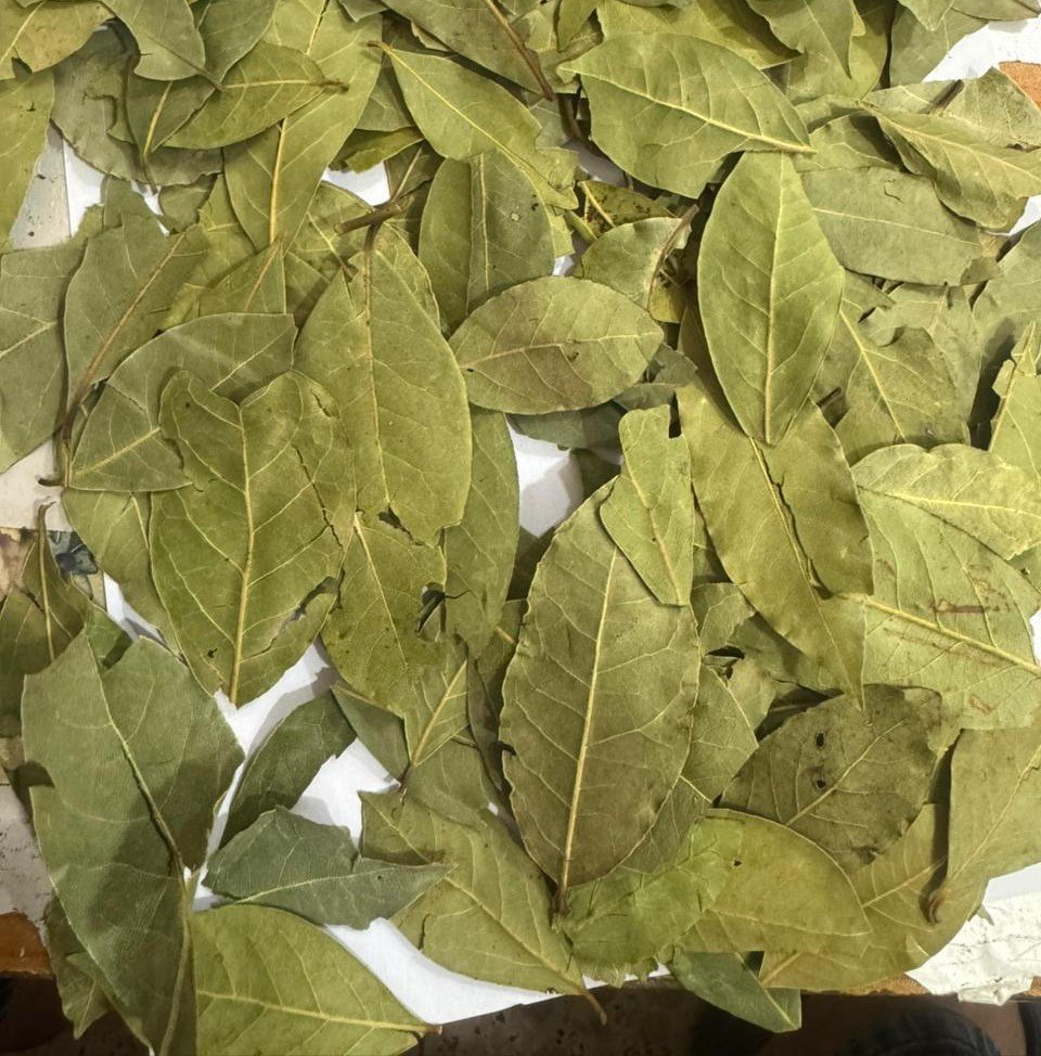 Bay Leaves