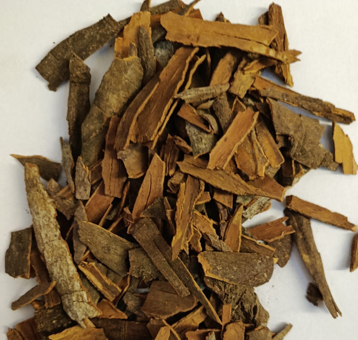 Cinnamon Stick