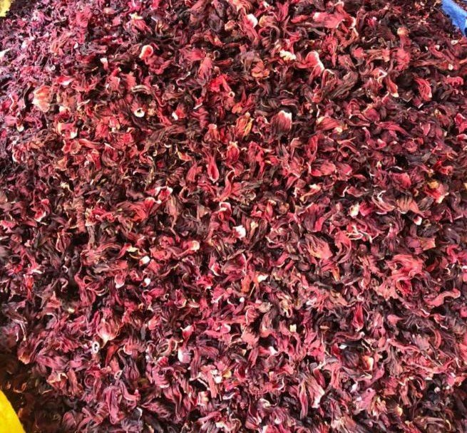 Hibiscus