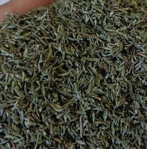 Thyme