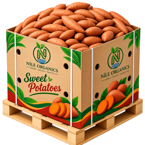 Carton Bin