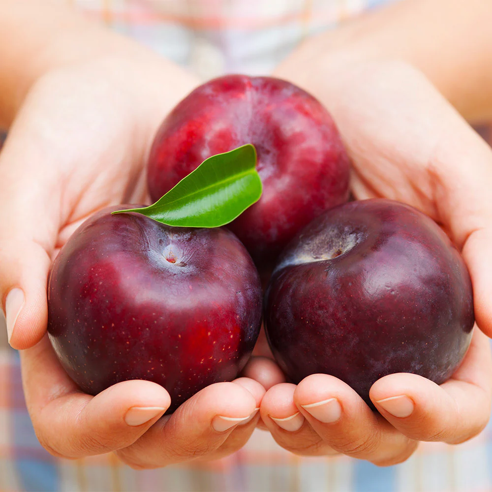 Plums