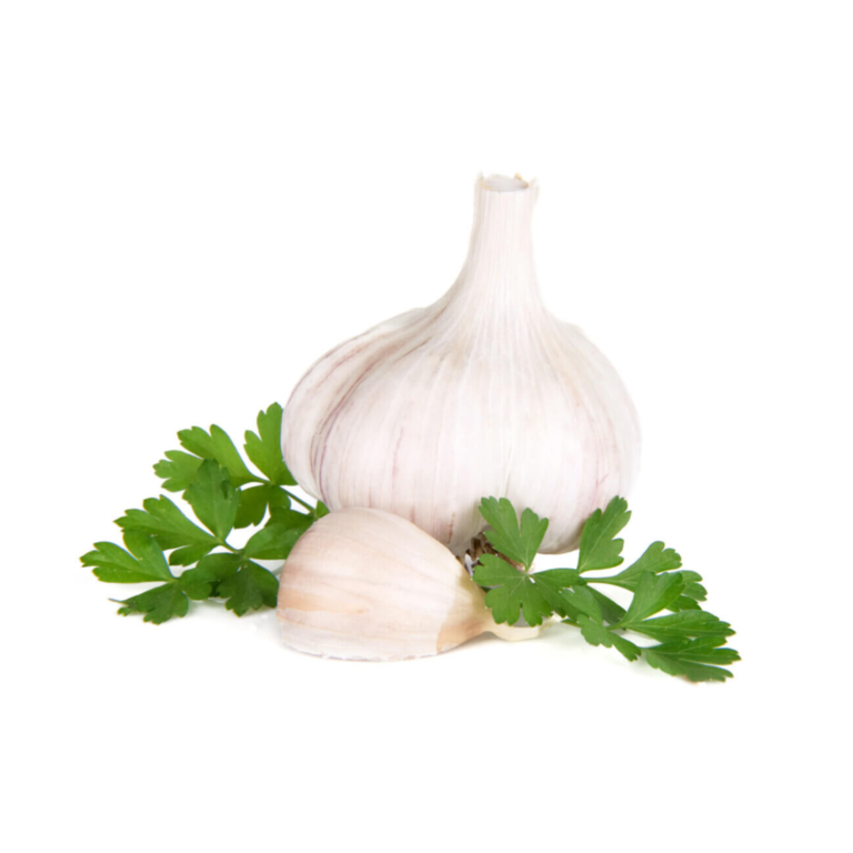 Garlic