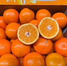 Minneola