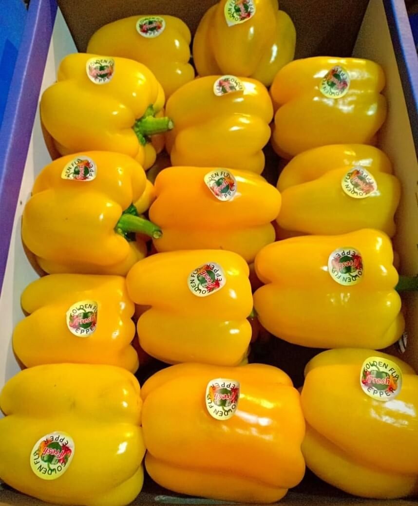 Yellow-Pepper